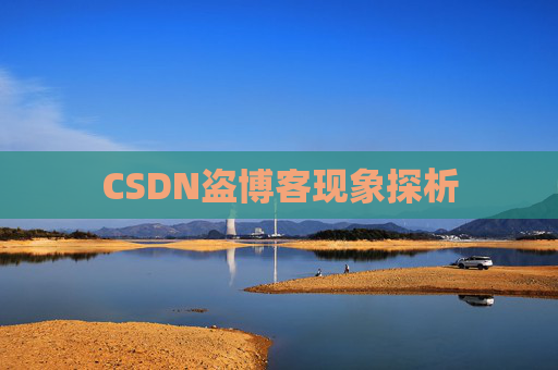 CSDN盗博客现象探析